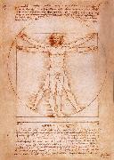 LEONARDO da Vinci Rule fur the proportion of the human figure France oil painting artist